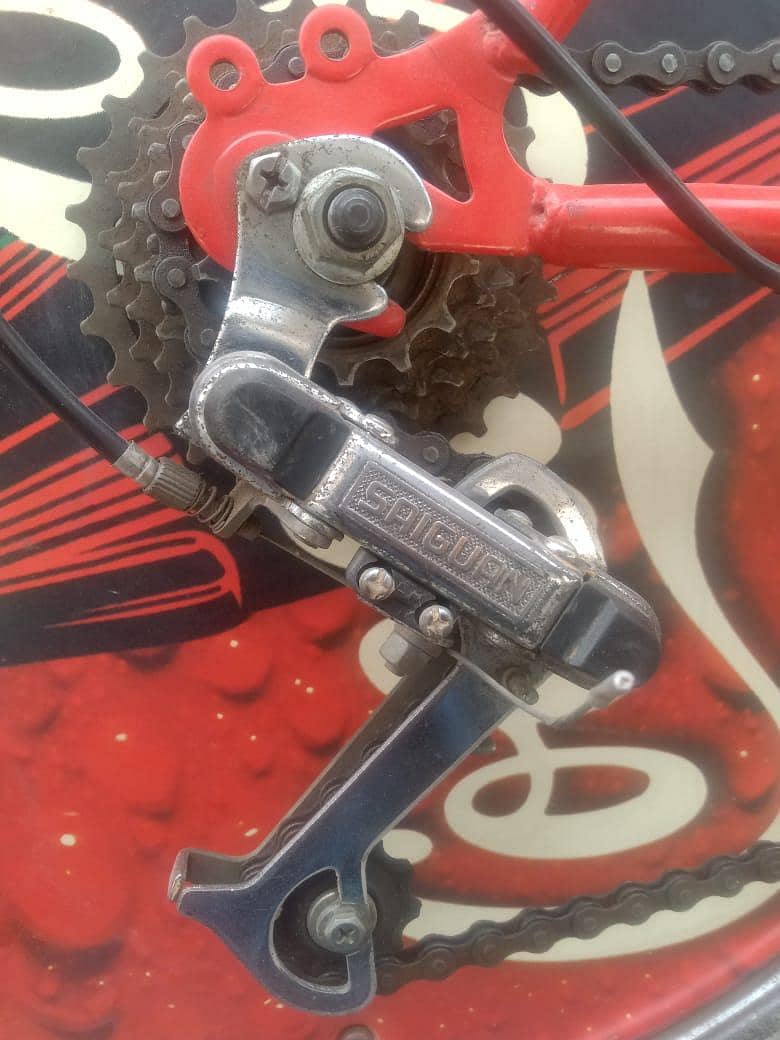 coca imported cycle 8