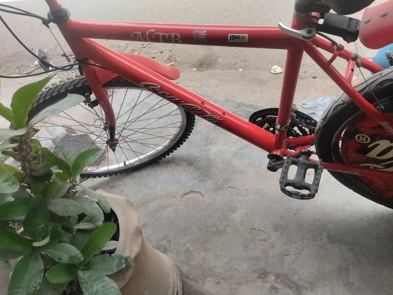 coca imported cycle 9