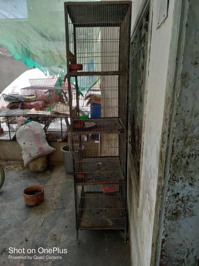 iron cage