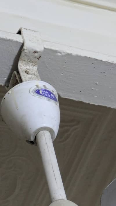 Pak Fan used for sale