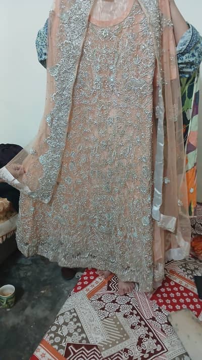WhatsApp number 03033781366