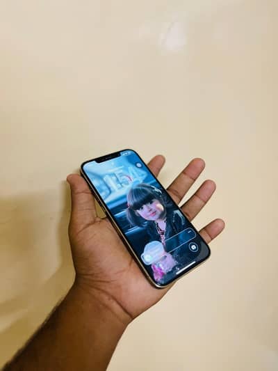 Iphone 12 pro max 256 gb