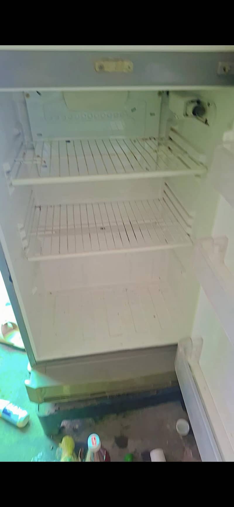 pell freezer 1