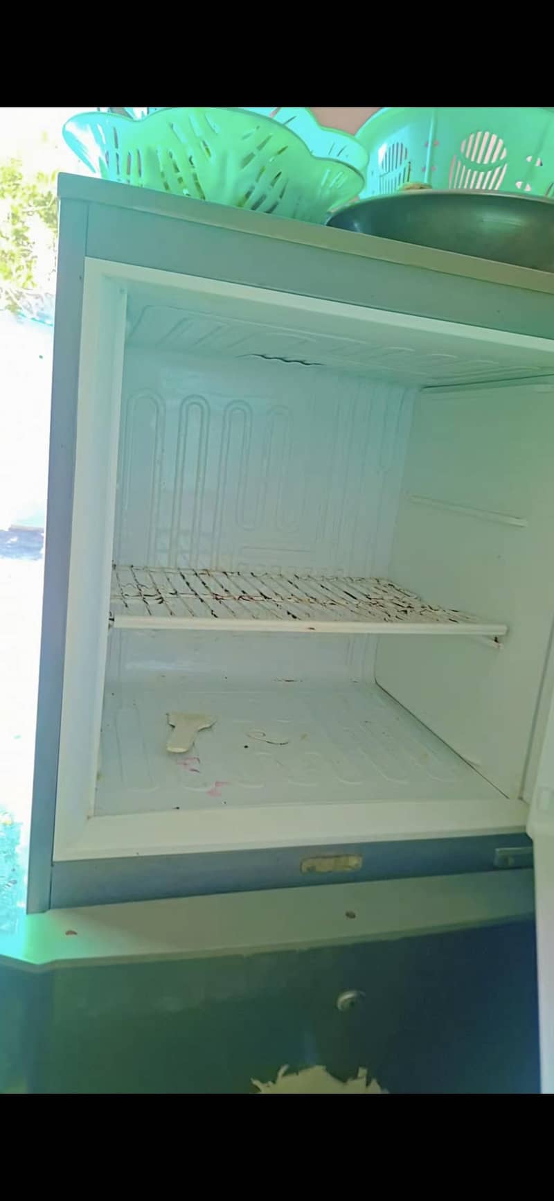 pell freezer 2