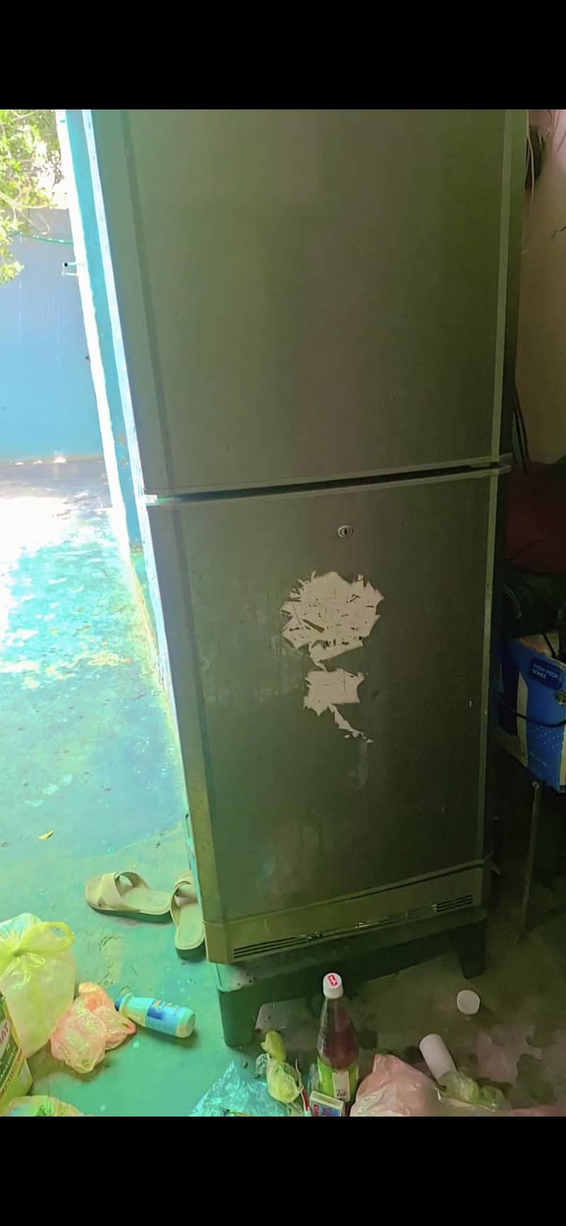 pell freezer 4