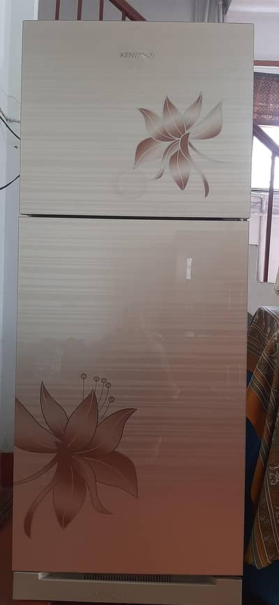 knewood fridge for sale