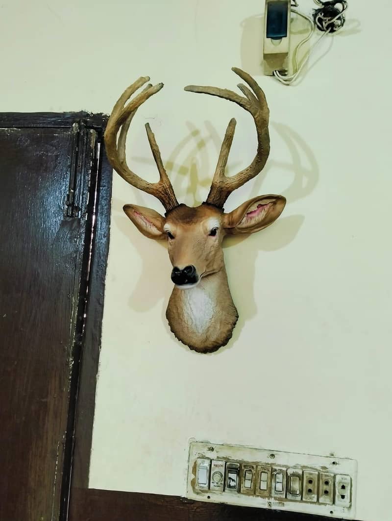 Deer Wall Hanging Face 3