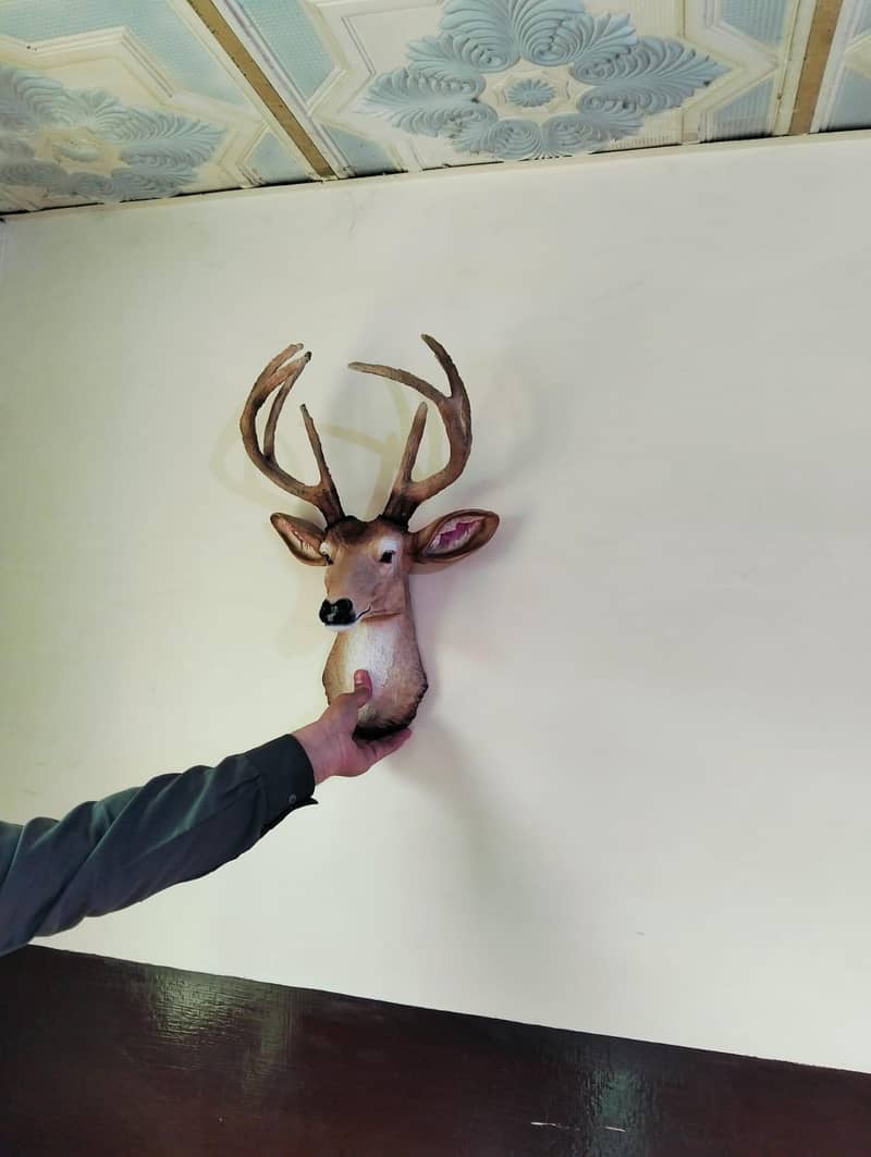 Deer Wall Hanging Face 4