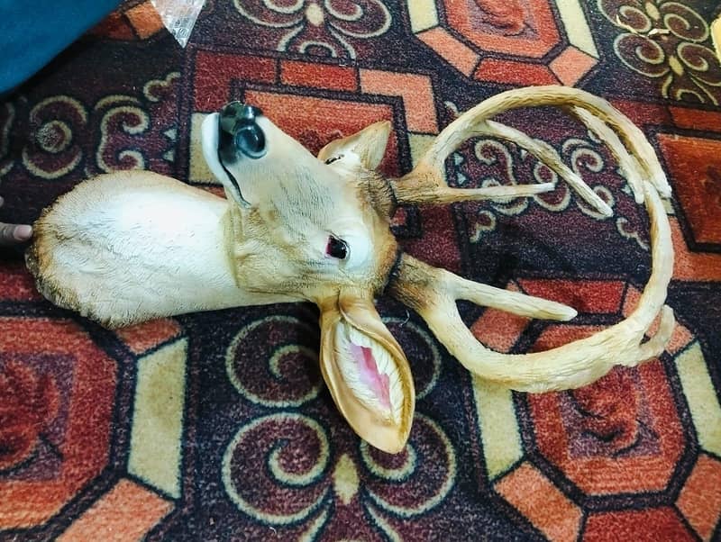 Deer Wall Hanging Face 5