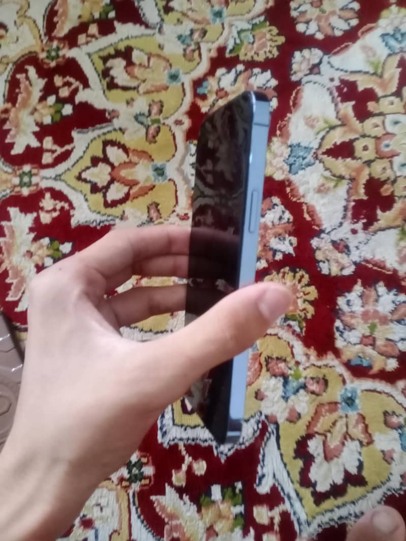 Apple iPhone 13 Pro Max 1