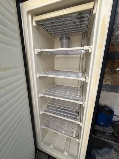 Deep freezer frost 03219494153