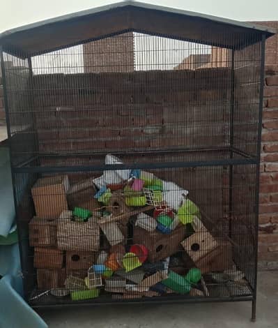 new cage