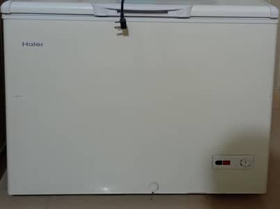 Haier One Door Freezer