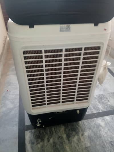 Air cooler
