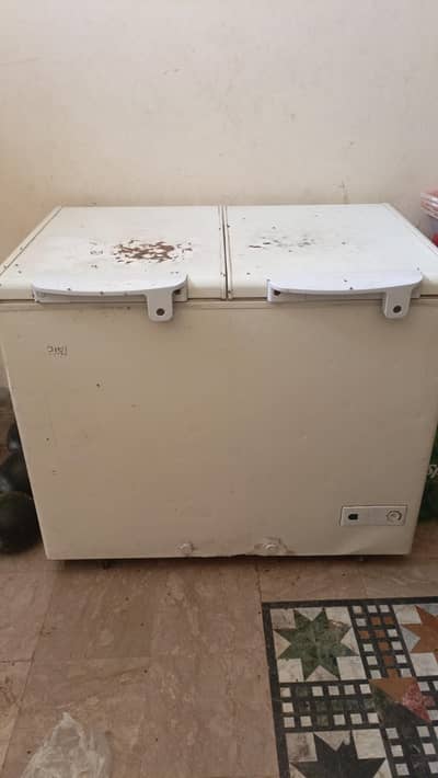 Hair shop freezer