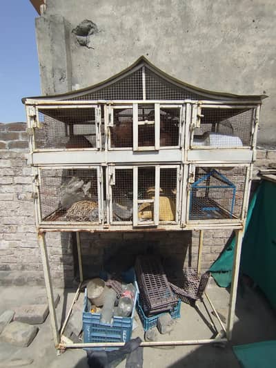 6 feet cage