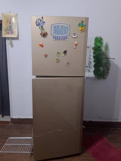 Pel Jambo Refrigerators