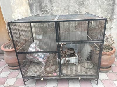 Cages parrots For Sale