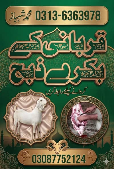 Qurbani Ka janwar zibah krwany k lea rabta Krain