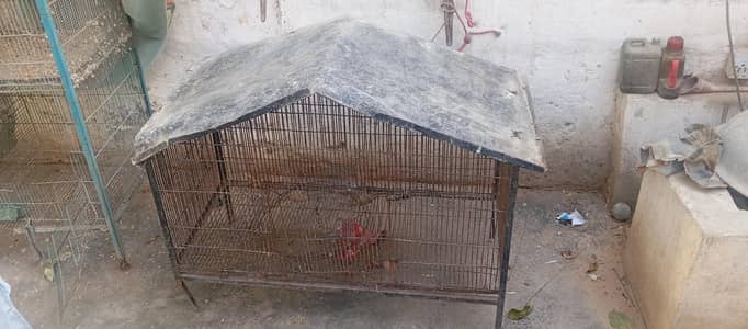 iron cage