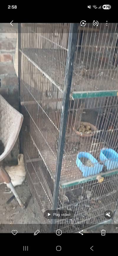 4 portion cage  2.5x1.5x1.5