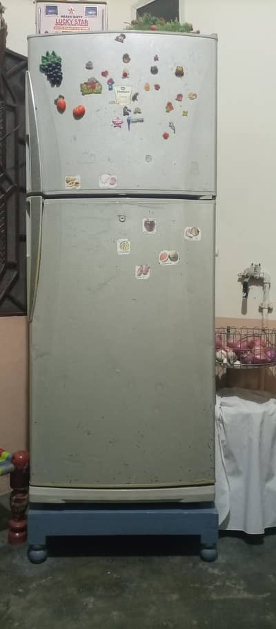 Dawlance jumbo size fridge