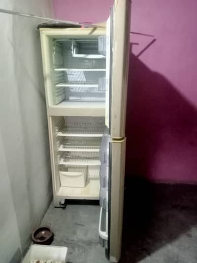 pel Fridge
