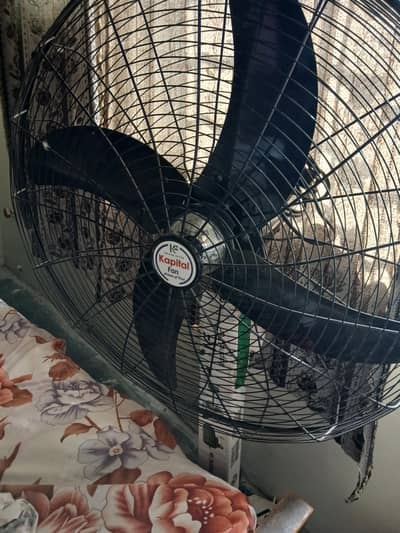 pedistal fan