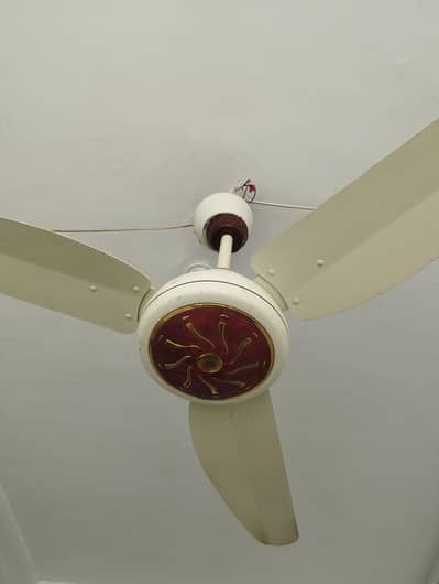 Ac Dc Fan for sale