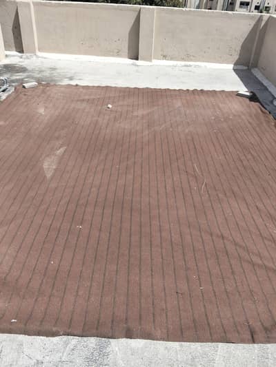 Used Carpet Brown Color
