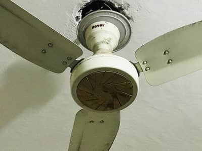 4 pcs Royal fans for sale almost new