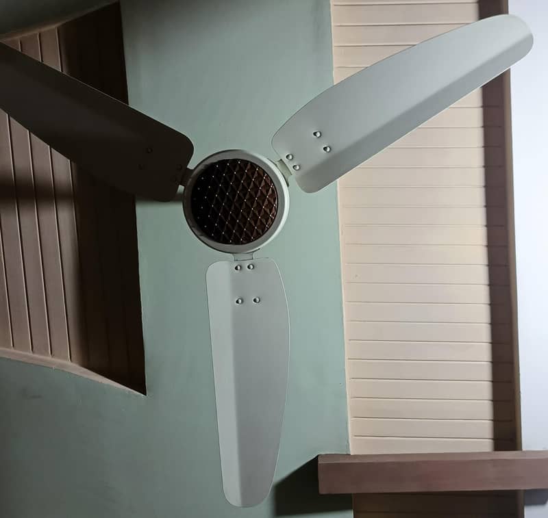 Ceiling Fan 1