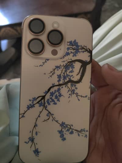 iPhone 16 Pro