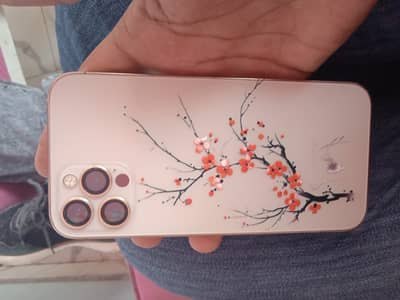 iPhone 12 Pro | 77% BH | 10/10 Condition