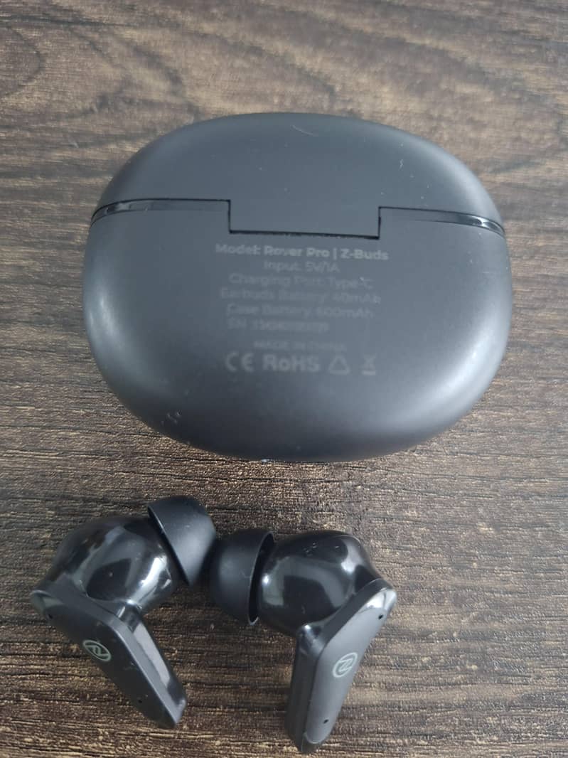 Zero Rover Pro Earbuds 2
