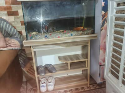 fish tank