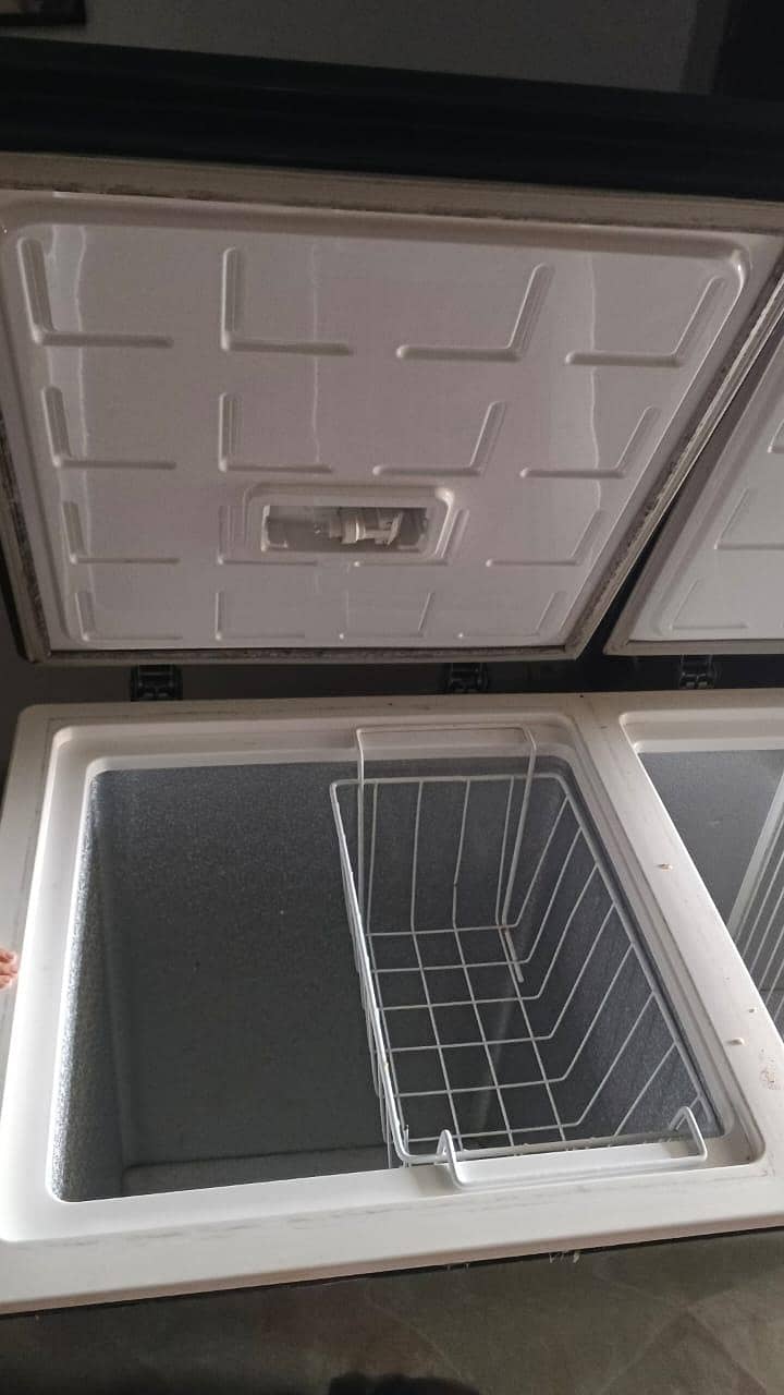 Deep Freezer 10