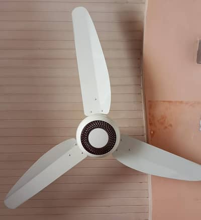 Ceiling fan