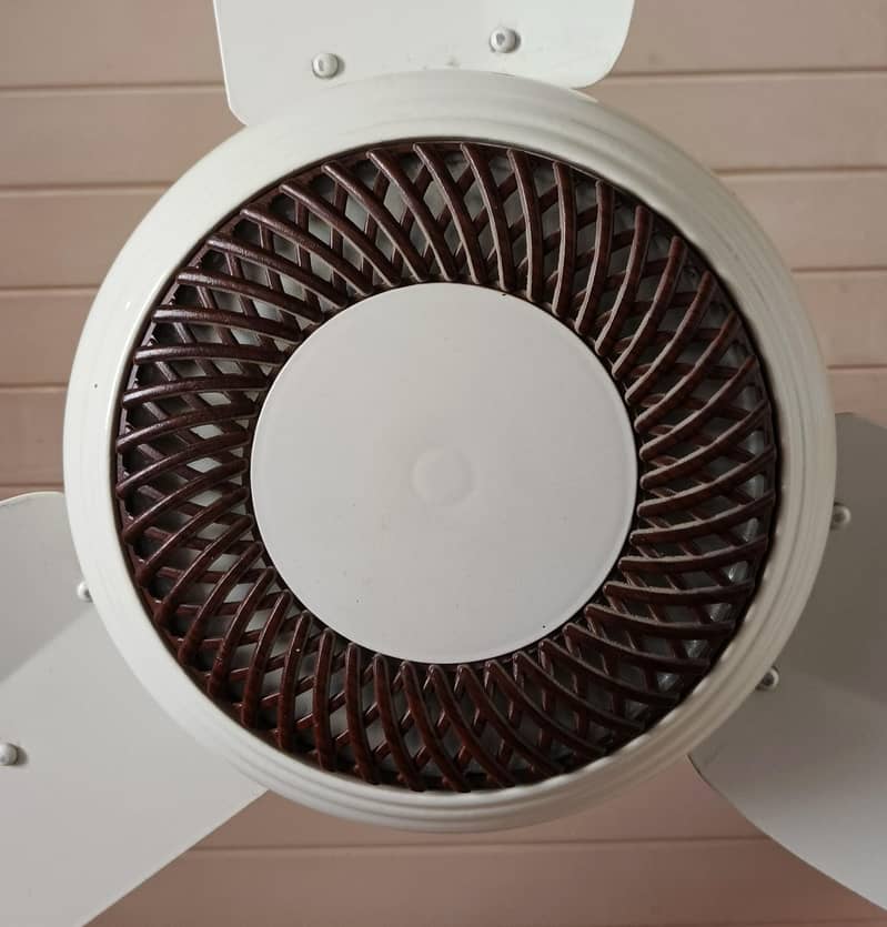 Ceiling fan 1