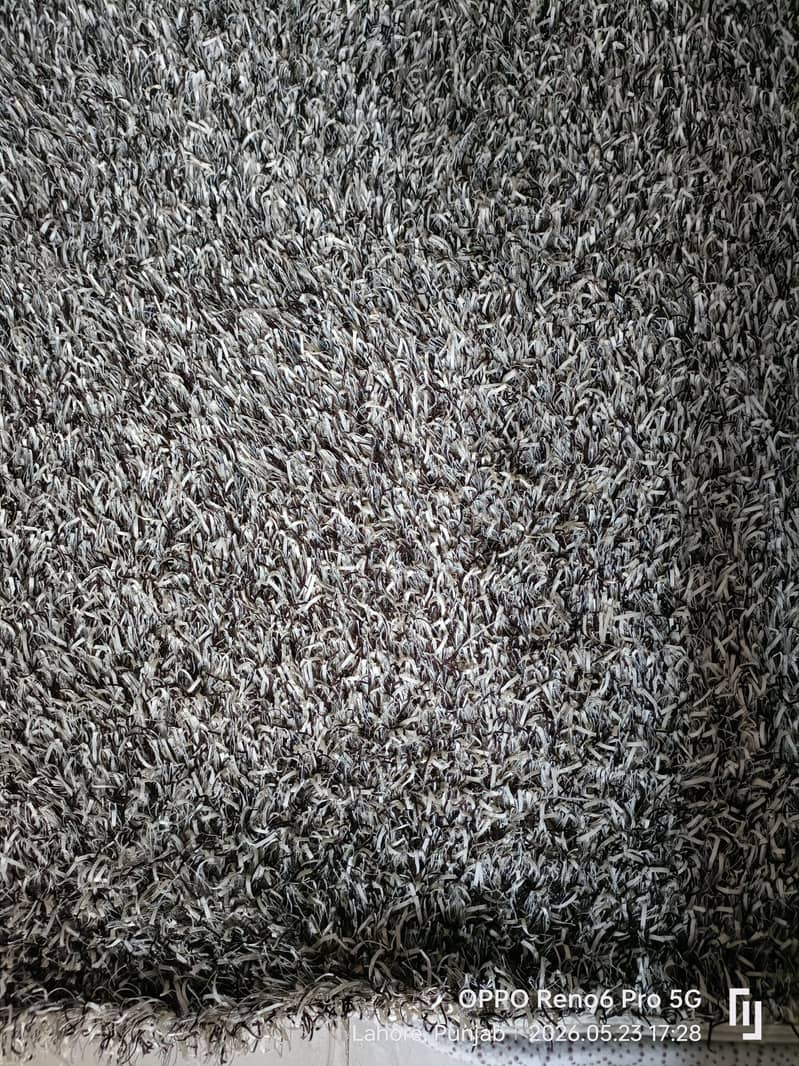 Carpet 0
