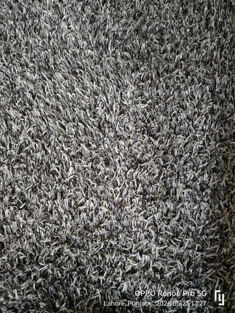 Carpet 4