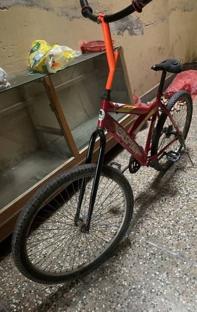 Bicycle (Caspian) Japan