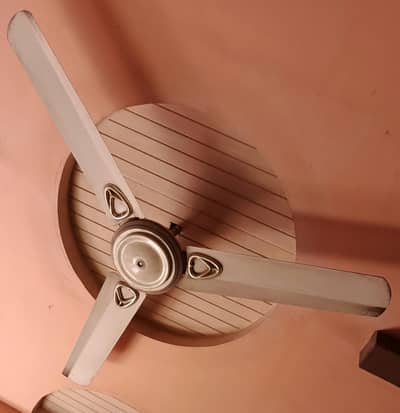 ceiling fan