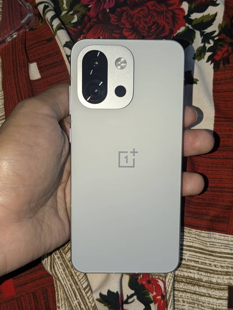 One Plus Other Model 1