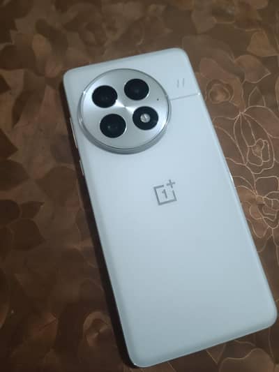 One Plus 13