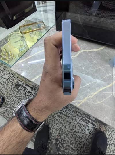 13 pro max