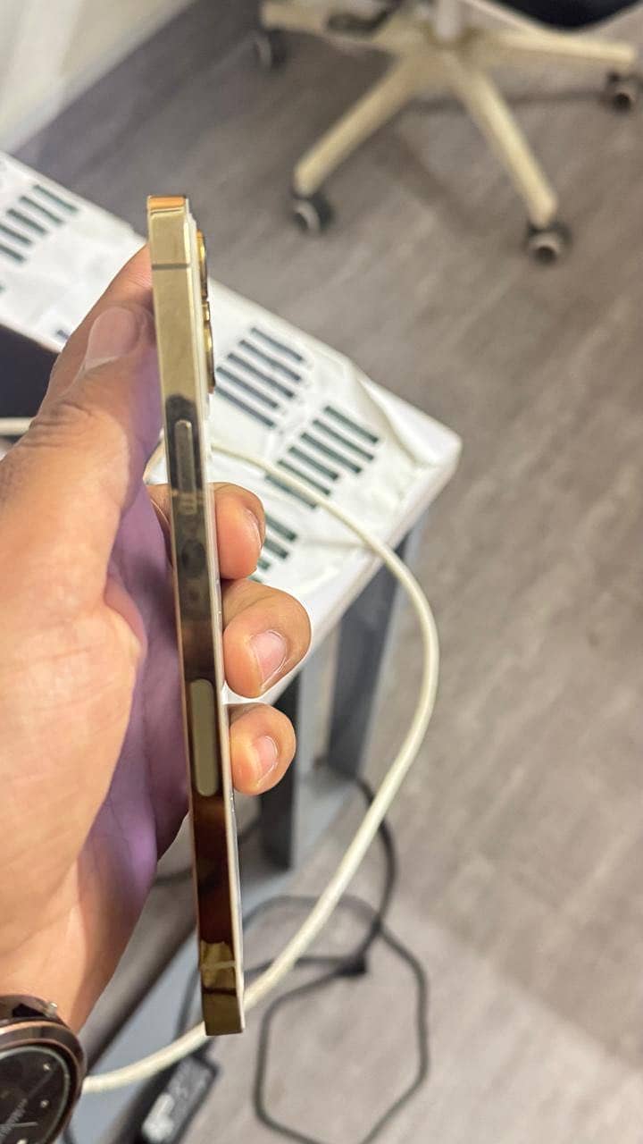 12 pro max 2