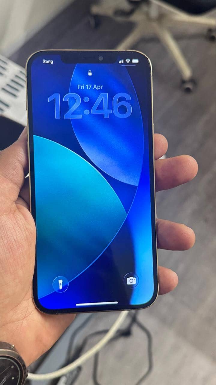 12 pro max 5
