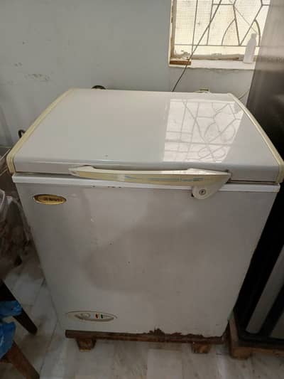 Waves Single door freezer
