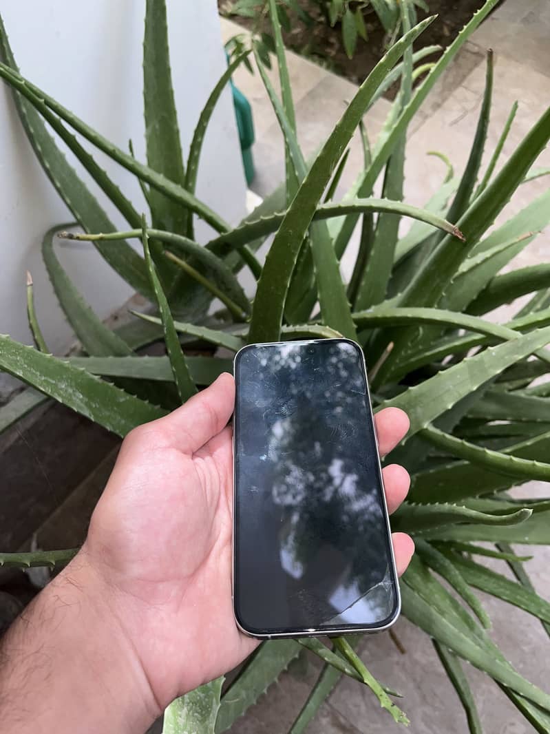 Apple iPhone 15 Pro 5
